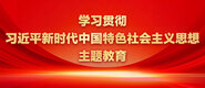 www,骚逼,com.学习贯彻习近平新时代中国特色社会主义思想主题教育_fororder_ad-371X160(2)